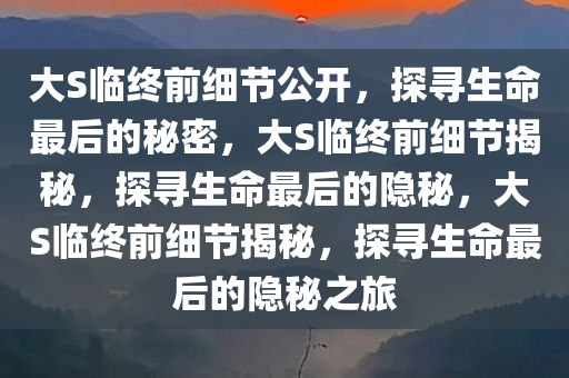 大S临终前细节公开，探寻生命最后的秘密，大S临终前细节揭秘，探寻生命最后的隐秘，大S临终前细节揭秘，探寻生命最后的隐秘之旅