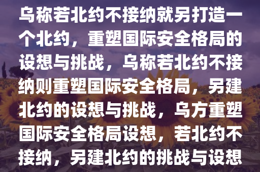 乌称若北约不接纳就另打造一个北约，重塑国际安全格局的设想与挑战，乌称若北约不接纳则重塑国际安全格局，另建北约的设想与挑战，乌方重塑国际安全格局设想，若北约不接纳，另建北约的挑战与设想