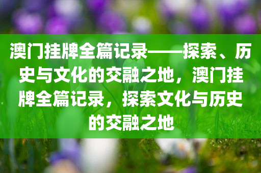 澳门挂牌全篇记录——探索、历史与文化的交融之地，澳门挂牌全篇记录，探索文化与历史的交融之地