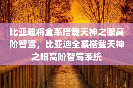 比亚迪将全系搭载天神之眼高阶智驾，比亚迪全系搭载天神之眼高阶智驾系统