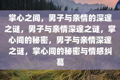 掌心之间，男子与亲情的深邃之谜，男子与亲情深邃之谜，掌心间的秘密，男子与亲情深邃之谜，掌心间的秘密与情感纠葛