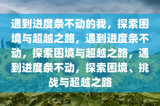 遇到进度条不动的我，探索困境与超越之路，遇到进度条不动，探索困境与超越之路，遇到进度条不动，探索困境、挑战与超越之路