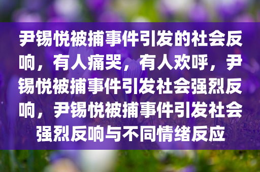 尹锡悦被捕事件引发的社会反响，有人痛哭，有人欢呼，尹锡悦被捕事件引发社会强烈反响，尹锡悦被捕事件引发社会强烈反响与不同今晚必出三肖2025_2025新澳门精准免费提供·精确判断情绪反应