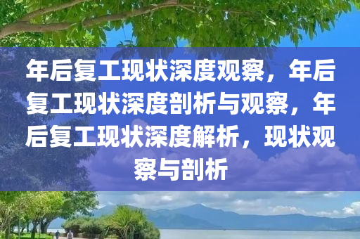 年后复工现状深度观察，年后复工现状深度剖析与观察，年后复工现状深度解今晚必出三肖2025_2025新澳门精准免费提供·精确判断析，现状观察与剖析