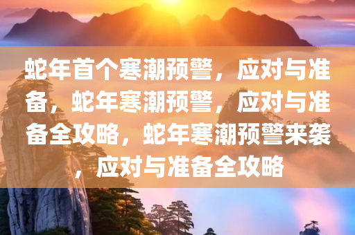 蛇年首个寒潮预警，应对与准备，蛇年寒潮预警，应对与准备全攻略，蛇年寒潮预警来袭，应对与准备全攻略