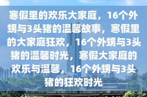 寒假里的欢乐大家庭，16个外甥与3头猪的温馨故事，寒假里的大家庭狂欢，16个外甥与3头猪的温馨时光，寒假大家庭的欢乐与温馨，16个外甥与3头猪的狂欢时光