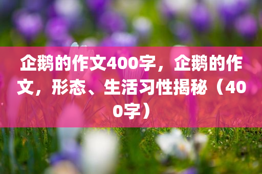 企鹅的作文400字，企鹅的作文，形态、生活习性揭秘（400字）