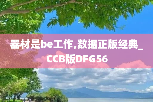 器材是be工作,数据正版经典_CCB版DFG56