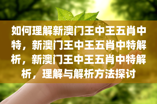 如何理解:新澳门王中王五肖中特