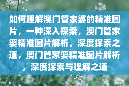 如何理解:澳门管家婆100%精准图片