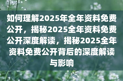 如何理解:2025年全年资料免费公开