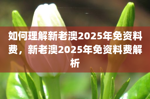 如何理解新老澳2025年免资料费，新老澳2025年免资料费解析