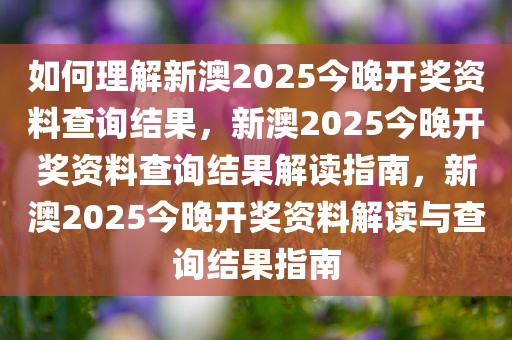 如何理解新澳2025今晚开奖资料查询结果，新澳2025今晚开奖资料查询结果解读指南，新澳2025今晚开奖资料解读与查询结果指南