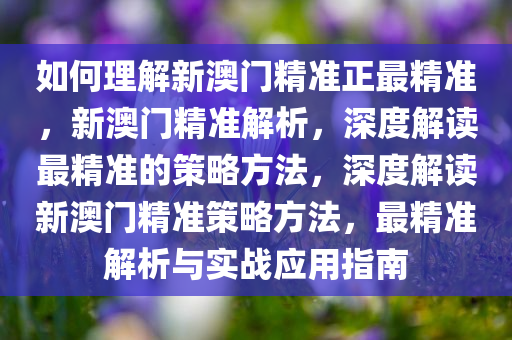 如何理解新澳门精准正最精准，新澳门精准解析，深度解读最精准的策略方法，深度解读新澳门精准策略方法，最精准解析与实战应用指南