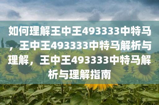 如何理解王中王493333中特马，王中王493333中特马解析与理解，王中王493333中特马解析与理解指南