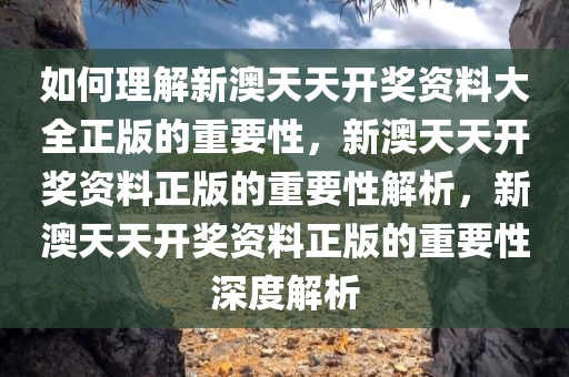 如何理解新澳天天开奖资料大全正版的重要性，新澳天天开奖资料正版的重要性解析，新澳天天开奖资料正版的重要性深度解析