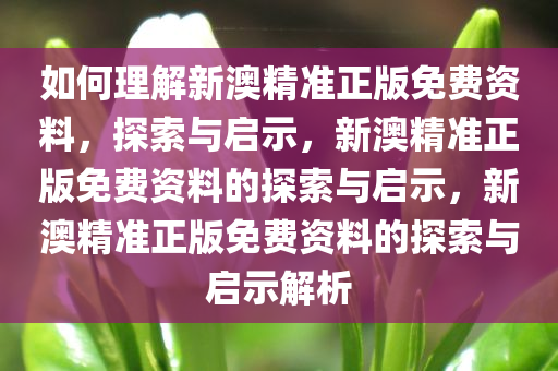 如何理解新澳精准正版免费资料，探索与启示，新澳精准正版免费资料的探索与启示，新澳精准正版免费资料的探索与启示解析