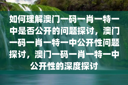 如何理解:澳门一码一肖一特一中是公开的吗