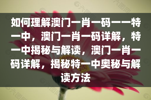 如何理解澳门一肖一码一一特一中，澳门一肖一码详解，特一中揭秘与解读，澳门一肖一码详解，揭秘特一中奥秘与解读方法