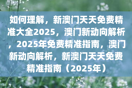 如何理解:新澳门天天免费精准大全2025