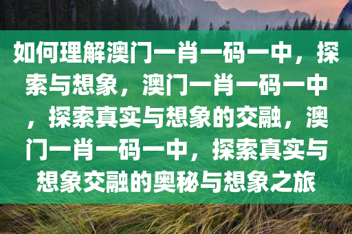 如何理解澳门一肖一码一中，探索与想象，澳门一肖一码一中，探索真实与想象的交融，澳门一肖一码一中，探索真实与想象交融的奥秘与想象之旅