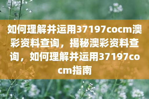 如何理解并运用37197cocm澳彩资料查询，揭秘澳彩资料查询，如何理解并运用37197cocm指南