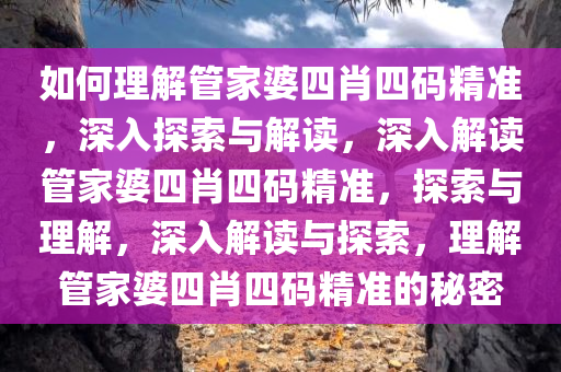 如何理解管家婆四肖四码精准，深入探索与解读，深入解读管家婆四肖四码精准，探索与理解，深入解读与探索，理解管家婆四肖四码精准的秘密