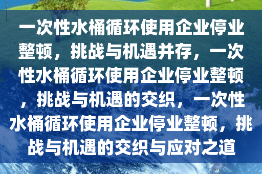 一次性水桶循环使用企业停业整顿，挑战与机遇并存，一次性水桶循环使用企业停业整顿，挑战与机遇的交织，一次性水桶循环使用企业停业整顿，挑战与机遇的交织与应对之道