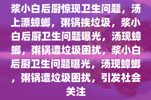 浆小白后厨惊现卫生问题，汤上漂蟑螂，粥锅挨垃圾，浆小白后厨卫生问题曝光，汤现蟑螂，粥锅遭垃圾困扰，浆小白后厨卫生问题曝光，汤现蟑螂，粥锅遭垃圾困扰，引发社会关注