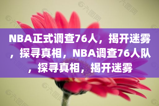 NBA正式调查76人