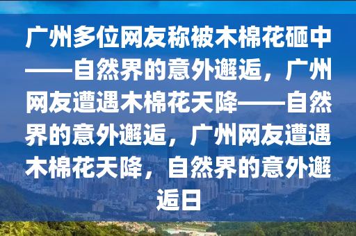 广州多位网友称被木棉花砸中——自然界的意外邂逅，广州网友遭遇木棉花天降——自然界的意外邂逅，广州网友遭遇木棉花天降，自然界的意外邂逅日