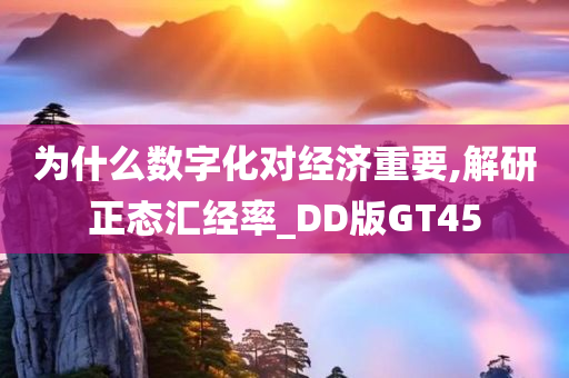 为什么数字化对经济重要,解研正态汇经率_DD版GT45