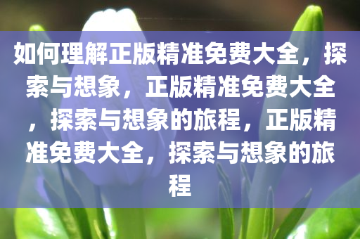 如何理解正版精准免费大全，探索与想象，正版精准免费大全，探索与想象的旅程，正版精准免费大全，探索与想象的旅程