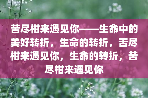 苦尽柑来遇见你——生命中的美好转折，生命的转折，苦尽柑来遇见你，生命的转折，苦尽柑来遇见你