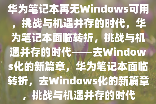 华为笔记本再无Windows可用