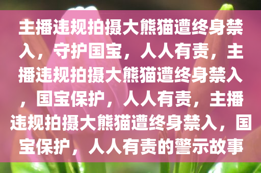 主播违规拍摄大熊猫遭终身禁入，守护国宝，人人有责，主播违规拍摄大熊猫遭终身禁入，国宝保护，人人有责，主播违规拍摄大熊猫遭终身禁入，国宝保护，人人有责的警示故事