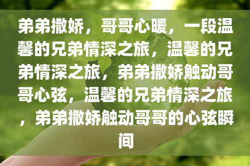 弟弟撒娇，哥哥心暖，一段温馨的兄弟情深之旅，温馨的兄弟情深之旅，弟弟撒娇触动哥哥心弦，温馨的兄弟情深之旅，弟弟撒娇触动哥哥的心弦瞬间