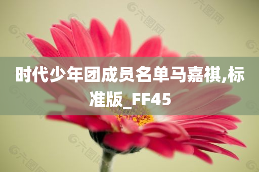 时代少年团成员名单马嘉祺,标准版_FF45