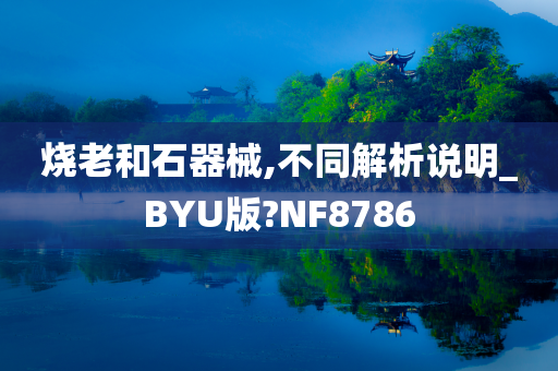 烧老和石器械,不同解析说明_BYU版?NF8786