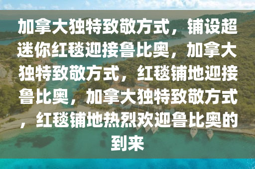 加拿大独特致敬方式，铺设超迷你红毯迎接鲁比奥，加拿大独特致敬方式，红毯铺地迎接鲁比奥，加拿大独特致敬方式，红毯铺地热烈欢迎鲁比奥的到来