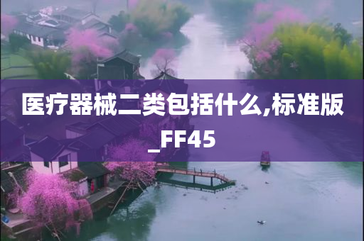 医疗器械二类包括什么,标准版_FF45