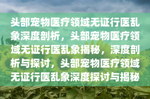 头部宠物医疗领域无证行医乱象深度剖析，头部宠物医疗领域无证行医乱象揭秘，深度剖析与探讨，头部宠物医疗领域无证行医乱象深度探讨与揭秘