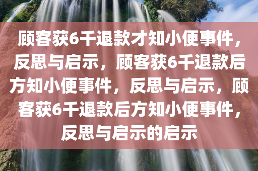 顾客获6千退款才知小便事件，反思与启示，顾客获6千退款后方知小便事件，反思与启示，顾客获6千退款后方知小便事件，反思与启示的启示