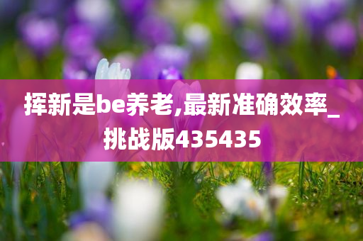 挥新是be养老,最新准确效率_挑战版435435