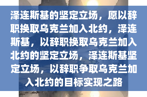 泽连斯基称愿以辞职换乌进北约