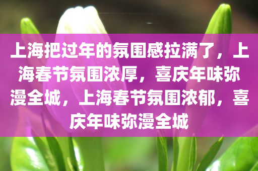 上海把过年的氛围感拉满了，上海春节氛围浓厚，喜庆年味弥漫全城，上海春节氛围浓郁，喜庆年味弥漫全城