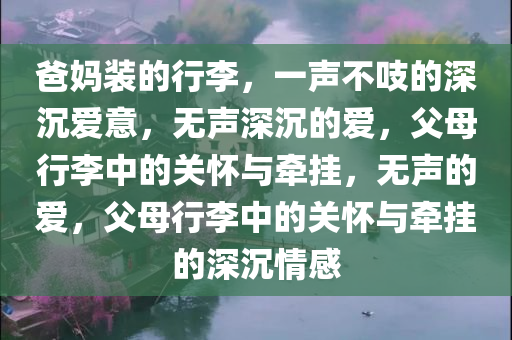 爸妈装的行李，一声不吱的深沉爱意，无声深沉的爱，父母行李中的关怀与牵挂，无声的爱，父母行李中的关怀与牵挂的深沉情感