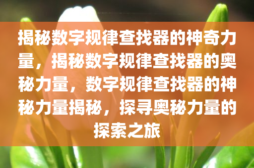 揭秘数字规律查找器的神奇力量，揭秘数字规律查找器的奥秘力量，数字规律查找器的神秘力量揭秘，探寻奥秘力量的探索之旅