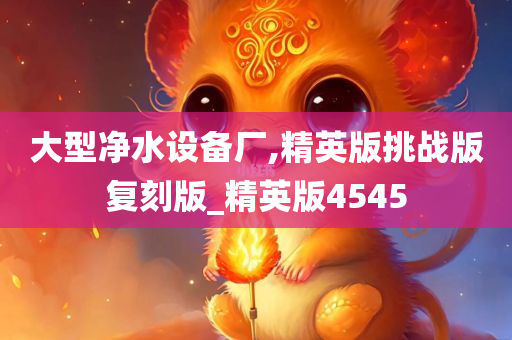 大型净水设备厂,精英版挑战版复刻版_精英版4545