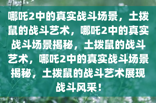 哪吒2中的真实战斗场景，土拨鼠的战斗艺术，哪吒2中的真实战斗场景揭秘，土拨鼠的战斗艺术，哪吒2中的真实战斗场景揭秘，土拨鼠的战斗艺术展现战斗风采！